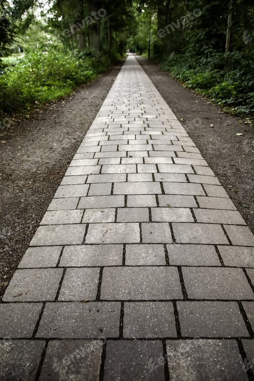 Preview: Cobblestone Road In The Forest, Pedestrian Walk Detail, Nature In The Forest