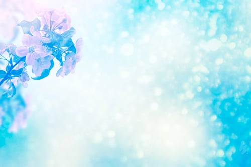Preview: Blossoming Branch Apple. Bright Colorful Spring Flowers