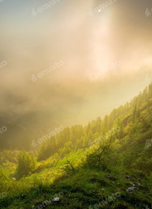 Preview: Mystical Sunrise On Top Of The Hill