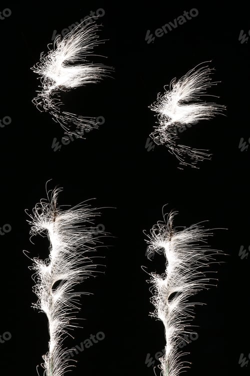 Preview: A Firework Display, Nottingham, Uk