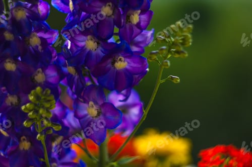 Preview: A Colorful Bouquet Of Bright Spring Flowers Of Various Types, Close-Up