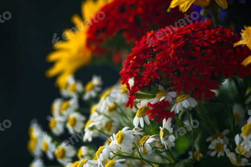 Preview: A Bouquet Of Bright Spring Flowers Of Various Types
