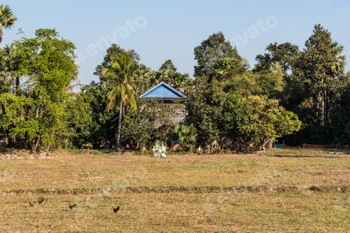 Preview: Beautiful Countryside View In Tropical Rural District, Siem Reap, Cambodia