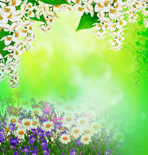 Preview: Field Daisy Flowers And Bells Isolated On White Background