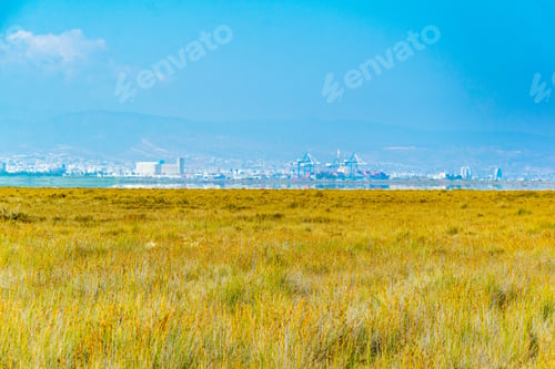 Preview: Limassol Viewed Behind Akrotiri Salt Lake On Cyprus