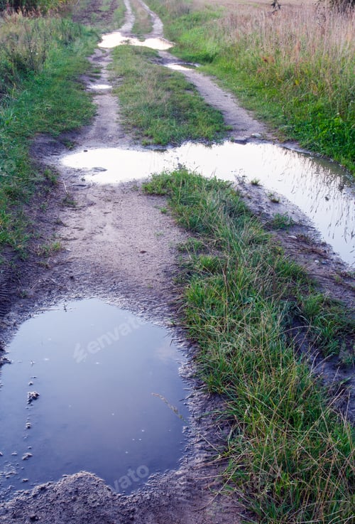 Preview: Sandy Country Road Through The Fields