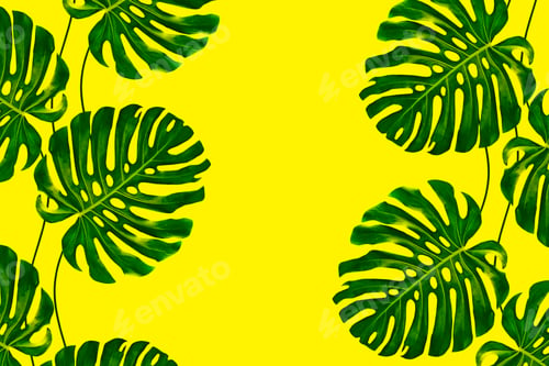 Preview: Tropical Exotic Monster Leaves. Natural Floral Background.
