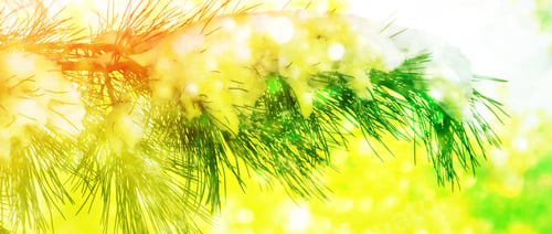 Preview: Forest In The Frost. Winter Landscape. Snow Covered Trees. Christmas Background.