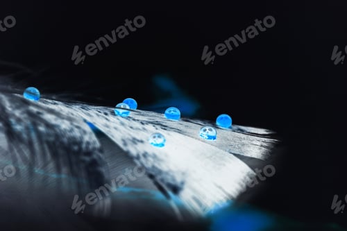 Preview: Abstract Composition With Hen Feather And Colorful Water Drops