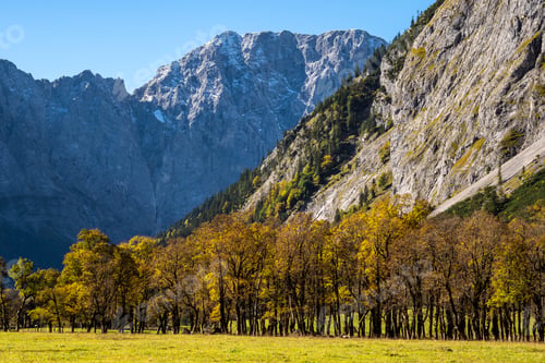 Preview: Colorful Maple Tree At Grosser Ahornboden With Impressive Karwendel Mountains In The Background