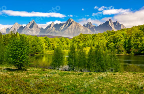 Preview: Composite Summer Landscape. Trees On The Shore Of A Clear Lake At The Foot Of Epic High Tatra