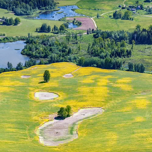 Preview: Aerial View Over The Rural Fields In Summertime