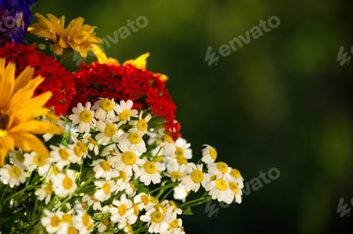 Preview: A Bouquet Of Bright Spring Flowers Of Various Types