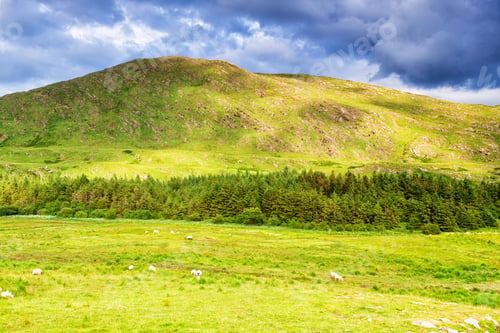 Preview: Summer Landscape Of Mountains, Hills And Meadows In Popular And Picturesque Ring Of Kerry, Ireland