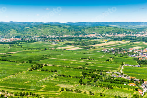 Preview: Summer View To Wachau Valley Near Krems, Lower Austria.