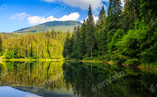 Preview: Mountain Lake Among The Green Fir Forest In Picturesque Summer Landscape. Reflection In Crystal