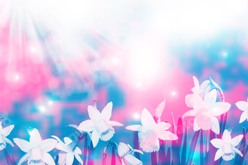 Preview: Bright And Colorful Flowers Of Daffodils On The Background Of The Spring Landscape