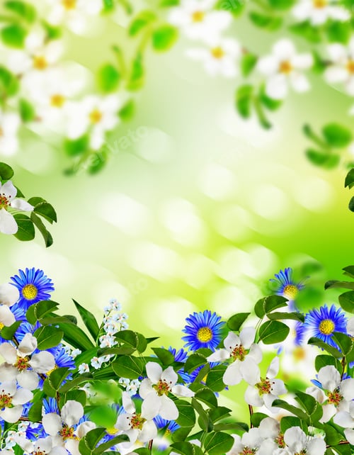 Preview: Blooming Apple Tree