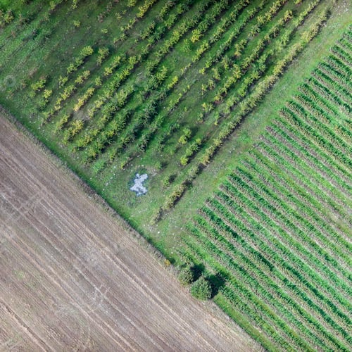 Preview: Aerial View Over The Rural Fields In Latvia