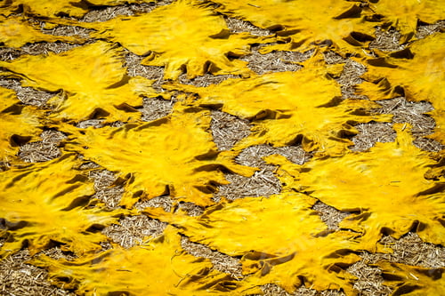 Preview: Dyed Skins Left On The Floor To Dry, Tanneries In Fes, Morocco