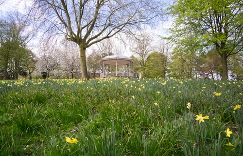 Preview: Traditional English Park Bandstand Background Scene