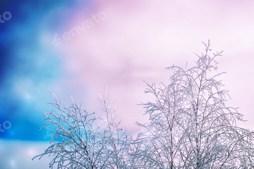 Preview: Frozen Winter Forest With Snow Covered Trees.