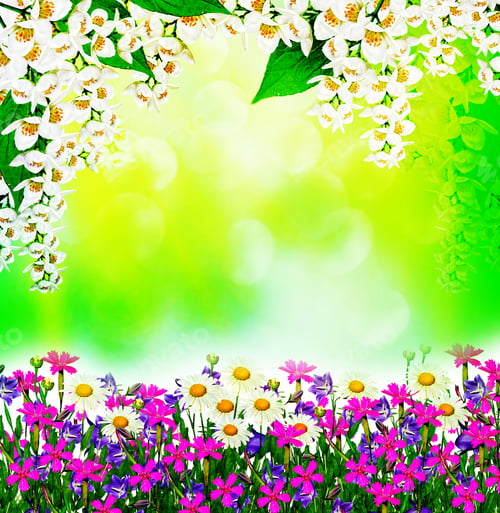 Preview: Field Daisy Flowers And Bells Isolated On White Background
