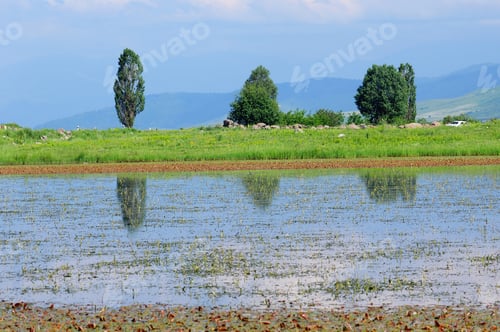 Preview: Lakeside Landscape