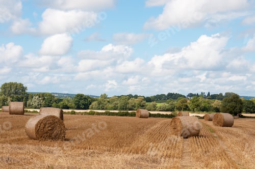 Preview: Summertime Straw Bales In The English Countryside.
