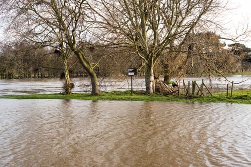 Preview: Strip Of Land Cut Off By Rising Water