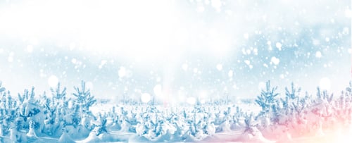 Visualização: Feliz Ano Novo e Feliz Natal! Floresta congelada de inverno com árvores cobertas de neve.