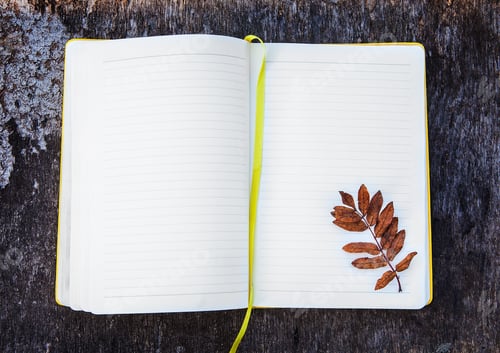Preview: Opened Blank Notepad With A Leaf On The Grunge Background Closeup