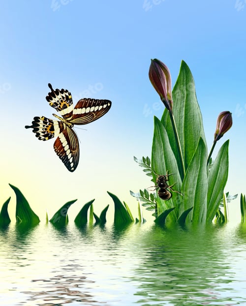 Preview: Summer Landscape With Flowers