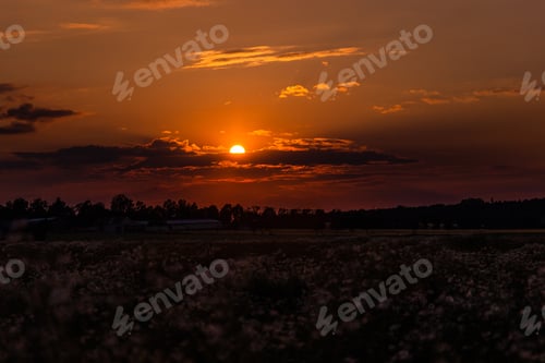 Preview: Czech Counrtyside At Sunset. Summer Evening.