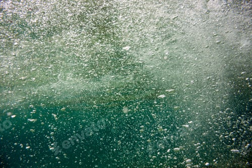 Preview: Underwater Texture And Fauna In Ionian Sea, Zakynthos, Greece