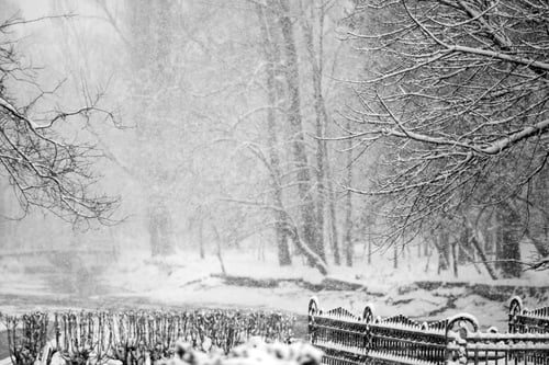 Preview: Snowing Landscape In The Park