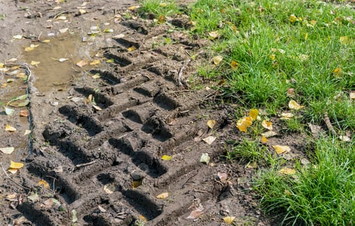 Preview: Closeup Of Tractor Tire Tracks In Wet Clay Next To A Meadow. The Profile Of The Tire Is Perfectly