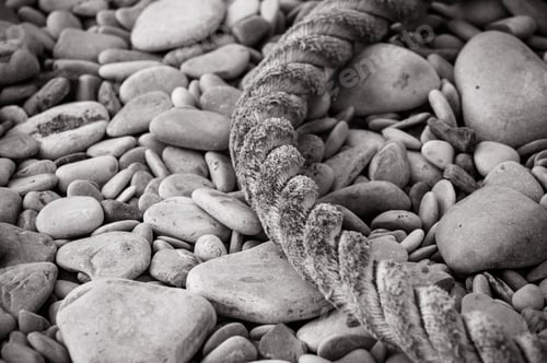Preview: Old Marine Rope On The Pebble Beach
