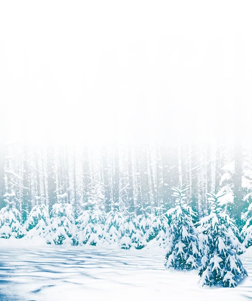 Preview: Blurred. Frozen Winter Forest With Snow Covered Trees. Christmas Background.