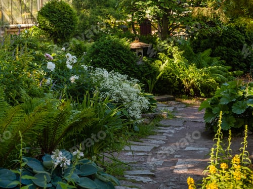 Preview: Summer Garden. Scene In The Botanical Garden With Green And Flowering Plants
