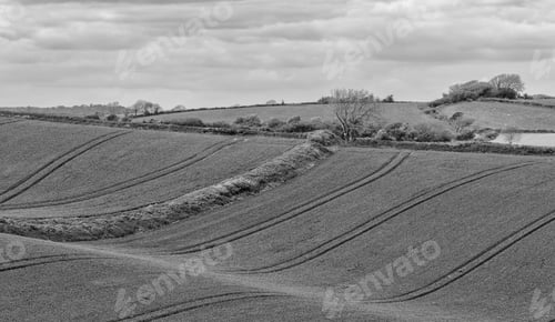 Preview: Farmed Fields Photographed In High-Contrast Monochrome