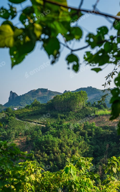 Preview: Vertical View Of The Xianggong Hill Viewpoint View Of Beautiful Green, Lush And Dense Karst