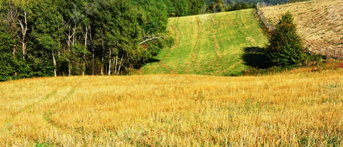 Preview: Mountain Meadow In Autumn Landscape