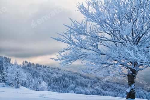 Preview: Winter In Mountains Near Szyndzielnia, Klimczok And Blatnia, Beskid Slaski, Poland