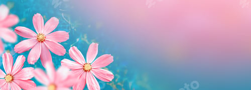 Preview: Colorful Cosmos Flowers On A Background Of Summer Landscape.