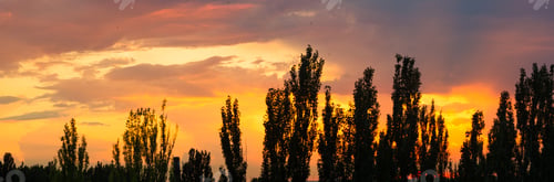 Preview: Landscape With Dramatic Light - Beautiful Golden Sunset With Saturated Sky And Clouds.