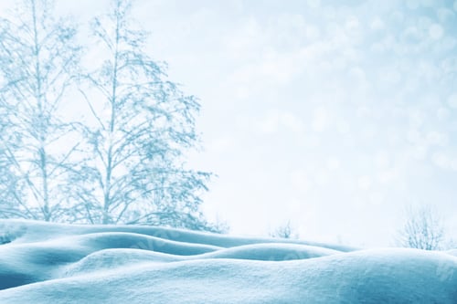 Preview: Frozen Winter Forest With Snow Covered Trees.