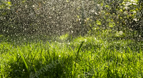 Preview: Warm Summer Rain In The Green Fresh Garden