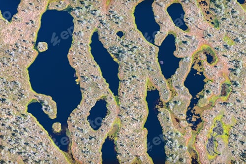 Preview: Aerial View Over The Swamp And Vegetation