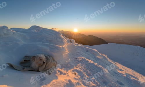 Preview: Beautiful Sunrise In The Winter Mountains. Male Hiker Waiting For The Sunrise.